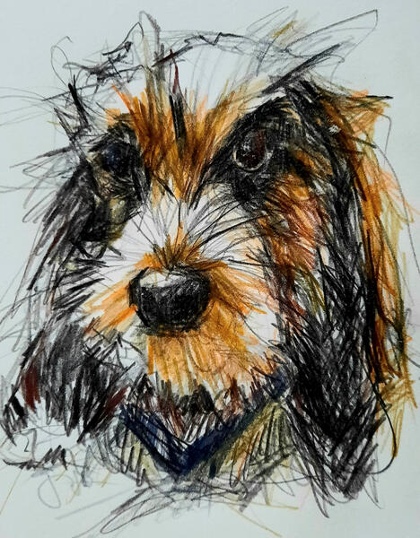 Ivo, potloodtekening van ons Bibi